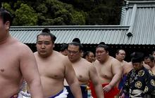 Kelebihan Beban, Japan Airlines Tambah Penerbangan Buat Angkut 27 Pesumo