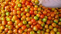 Stok Terbatas, Harga Tomat dan Bawang Merah Melonjak