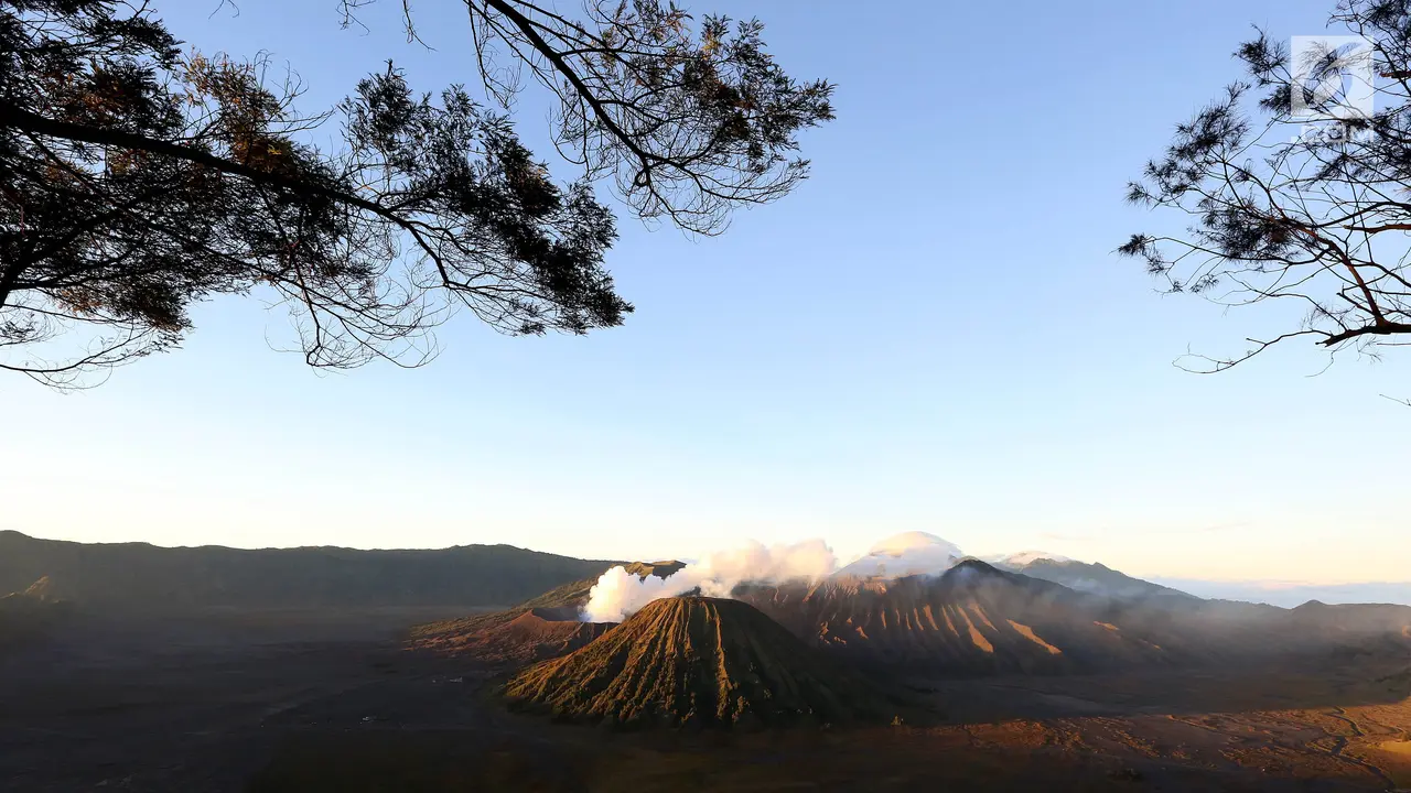Bromo