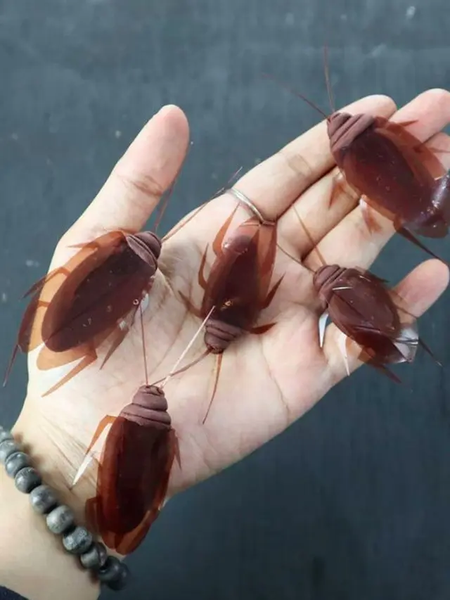 kue berbentuk tak biasa
