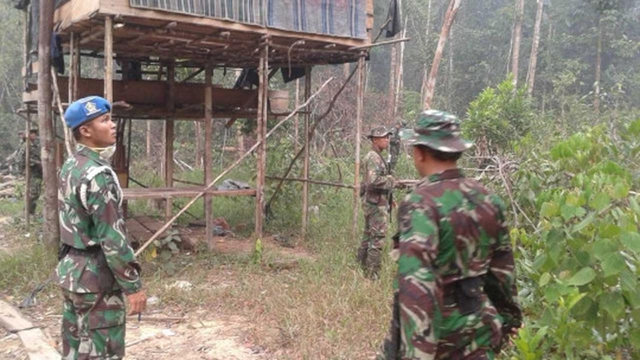 Aksi Marinir gagalkan illegal logging di Taman Nasional Sembilang
