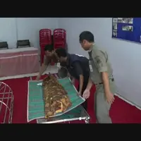 Seorang ibu di Jawa Timur tidak diakui oleh anak kandung dan menantunya. Miris.