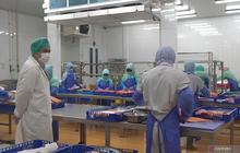 Tahukah Anda? Kebijakan Pre-border Barantin Pangkas Waktu Karantina Ikan dari 43 Jam Jadi 5 Jam, Perkuat Ketahanan Pangan Nasional