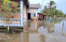 Ratusan Rumah Warga Terdampak Banjir Rob Bangka, BPBD Lakukan Pemantauan Intensif