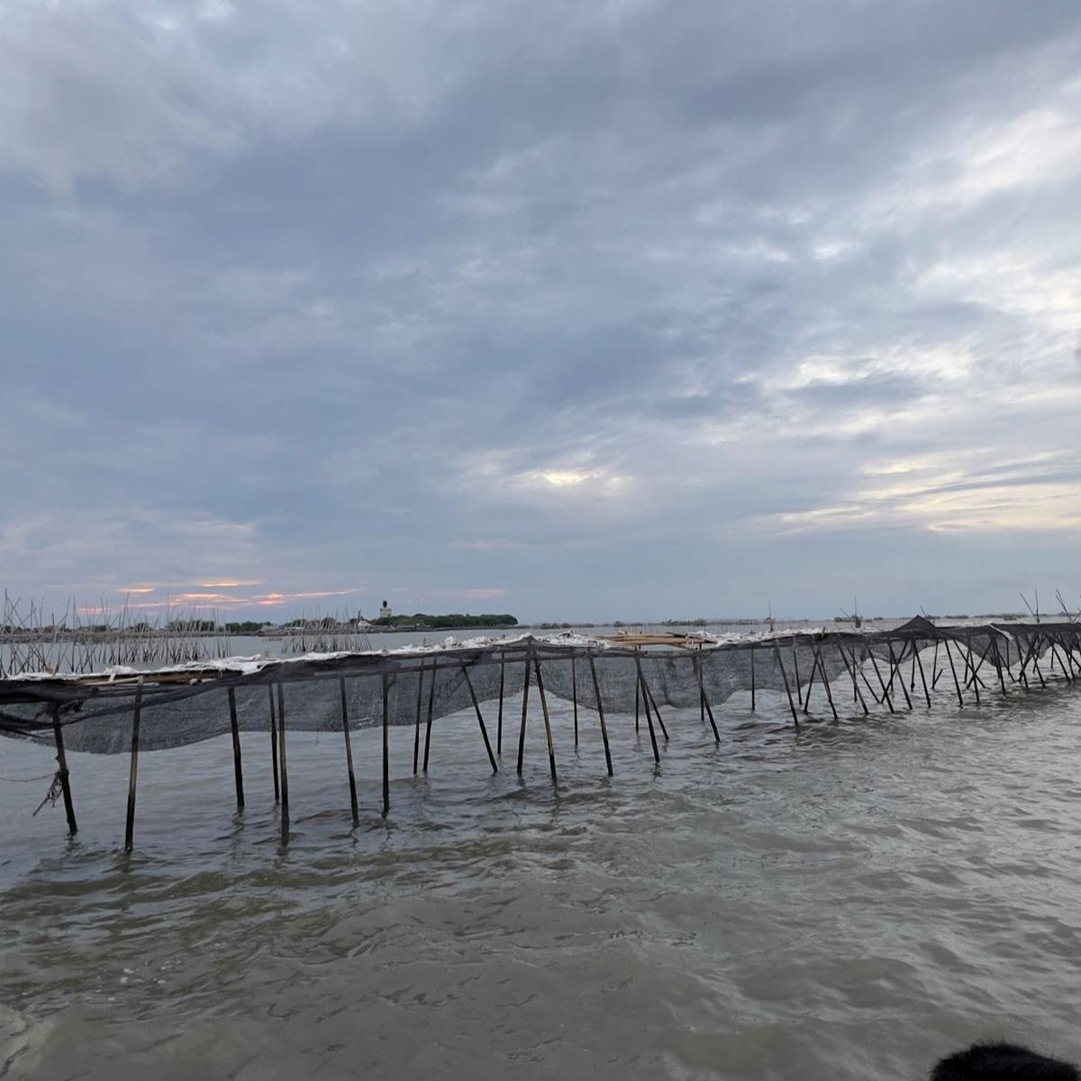 Penampakan Terkini Pagar Laut Misterius di Tangerang