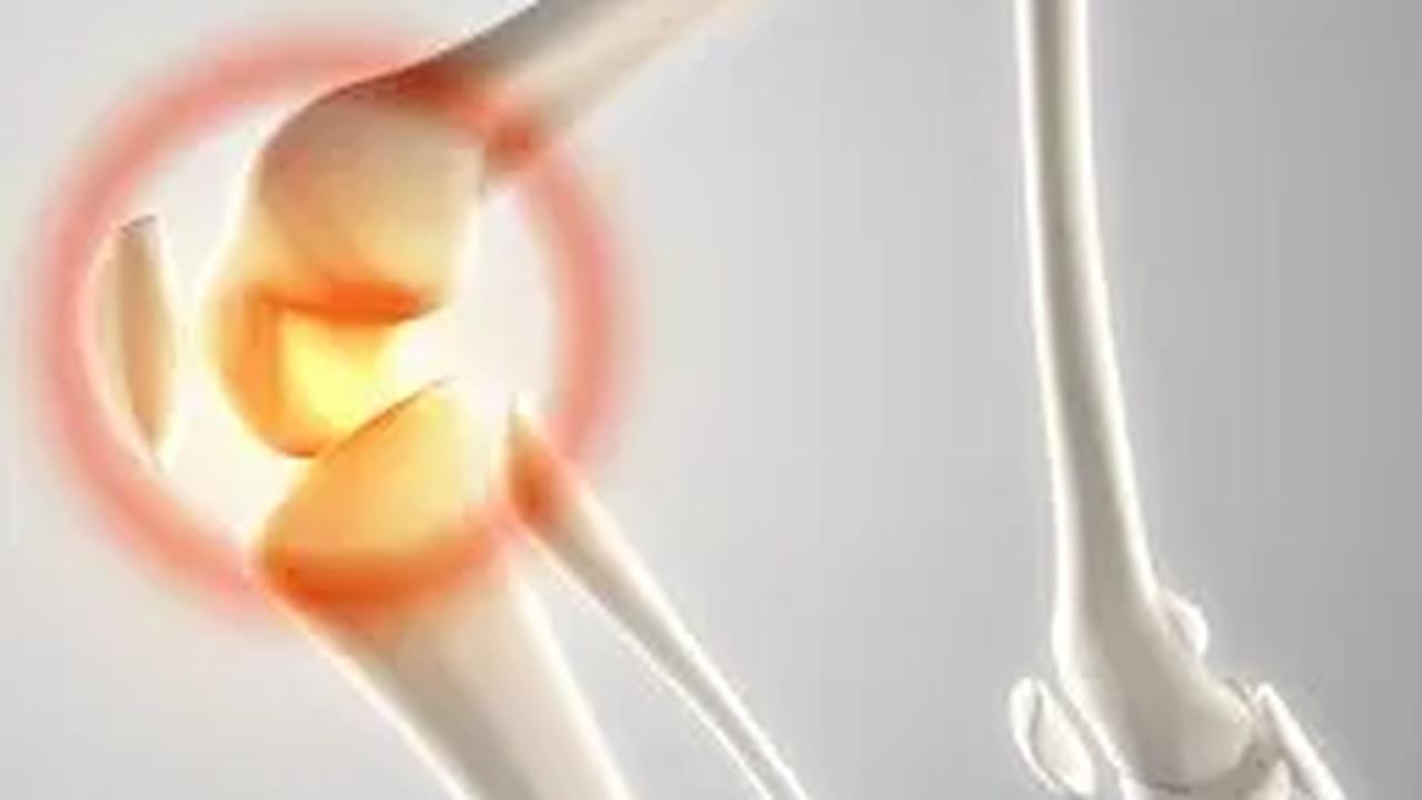 Hari ini, 20 Oktober, bukanlah hari biasa. Ini adalah Hari Osteoporosis Sedunia, sebuah acara puncak tahunan yang diselenggarakan oleh International Osteoporosis Foundation (IOF).&nbsp;