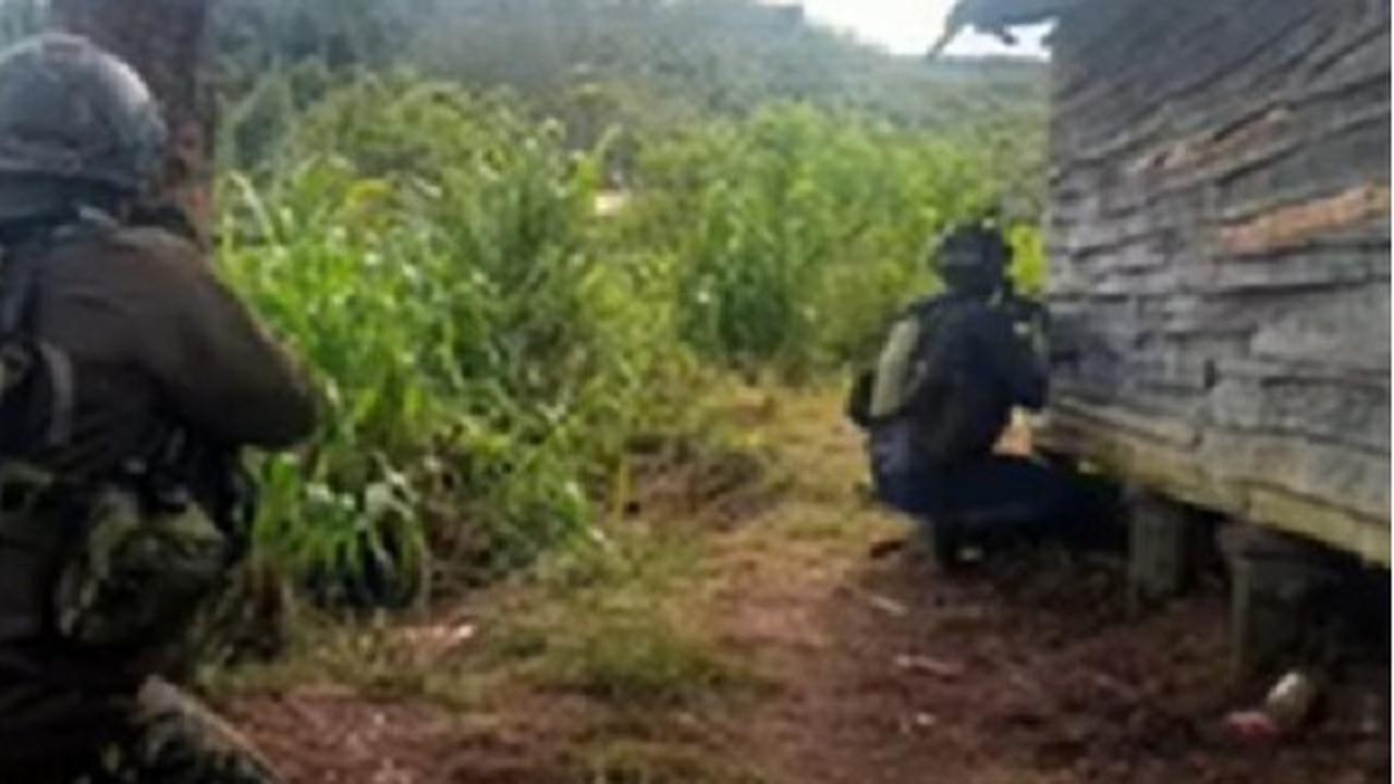 Lanny Jaya Kembali Memanas, TNI Tewaskan Tokoh Kunci OPM