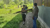 Olah TKP penembakan di Yahukimo, Provinsi Papua Pegunungan (Liputan6.com/Katharina Janur/Polda Papua)