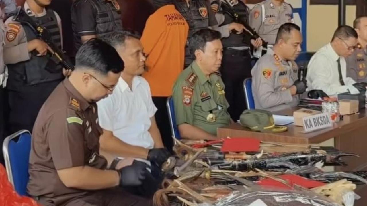 Ancaman Penjara 10 Tahun! BKSDA Ingatkan Sanksi Berat Bagi Penjual Suvenir Perdagangan Satwa Dilindungi