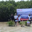 Hari Mangrove Sedunia, 2.500 Bibit Ditanam di Pulau Pramuka