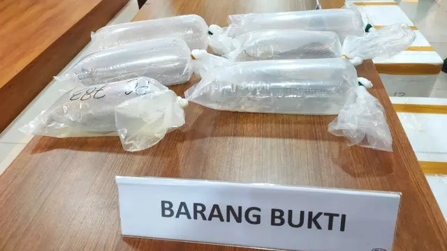 Penyelundupan Puluhan Ribu Benih Lobster Ilegal ke Singapura Digagalkan di Sumsel