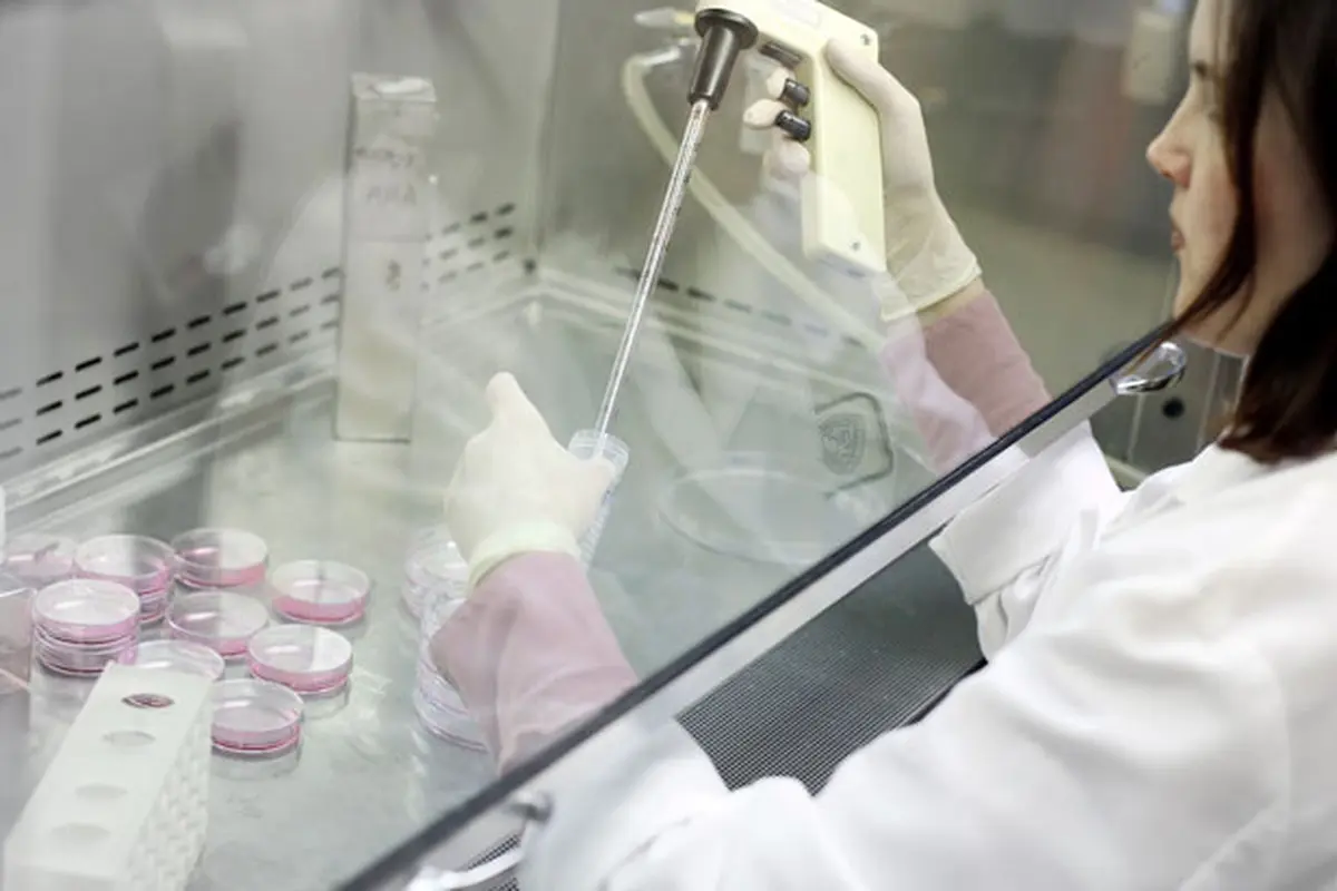 stemcell-4