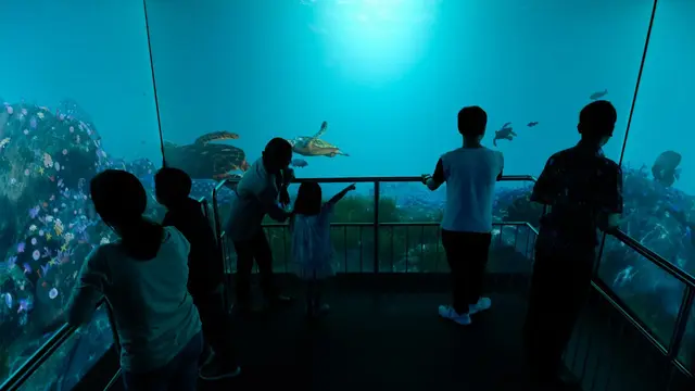 Aquarium