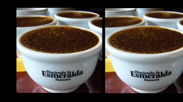 (c) haciendaesmeralda