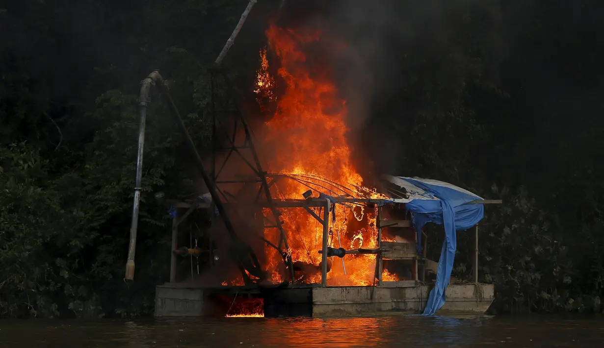 Sebuah kapak tambang dibakar selama operasi terhadap penambangan emas ilegal di perairan hutan hujan Amazon, Roraima, Brasil (16/4). Meski telah dilarang, masih banyak penambang liar yang menjadikan tempat ini tercemar. (REUTERS / Bruno Kelly)