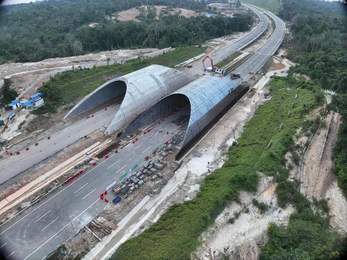 Di IKN Bakal Ada Jembatan Khusus Satwa