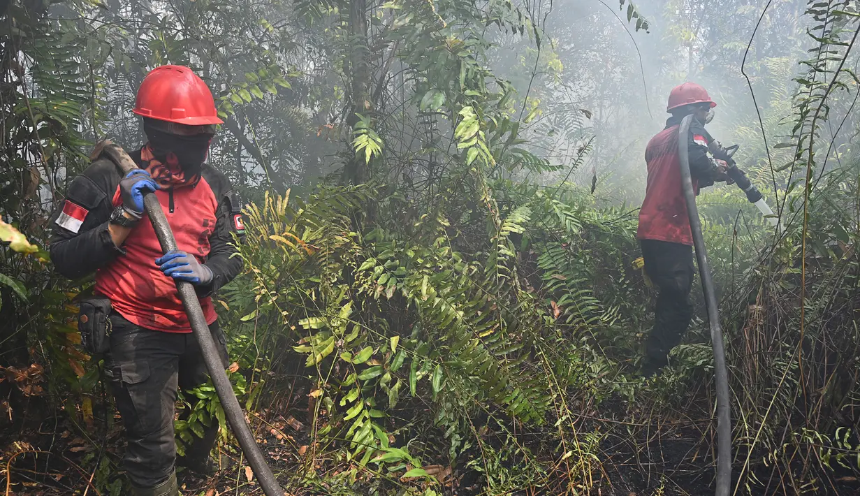 <p>Petugas pemadam kebakaran menyemprotkan air untuk memadamkan kebakaran di Kampar, provinsi Riau pada 17 September 2019. Kebakaran hutan dan lahan (karhutla) yang masih terjadi membuat sejumlah wilayah di Provinsi Riau terpapar kabut asap. (ADEK BERRY / AFP)</p>
