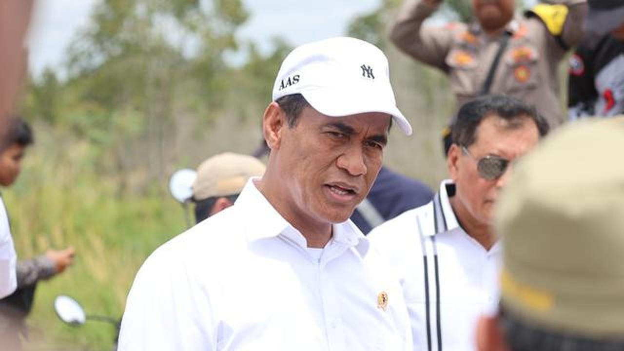 Peternakan Ayam Nasional Mulai Dibangun Akhir Januari 2026