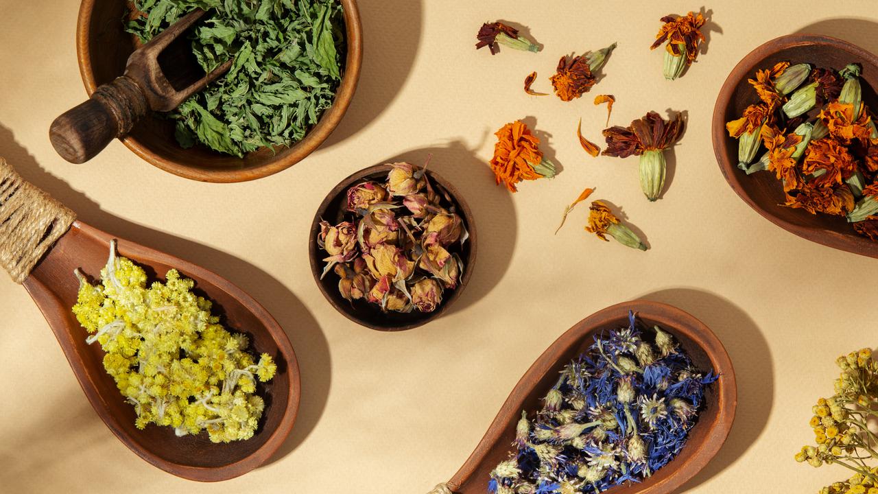 Mampu Turunkan Tekanan Darah Tinggi, Ini Dia Tanaman Herbal yang Harus Anda Coba!