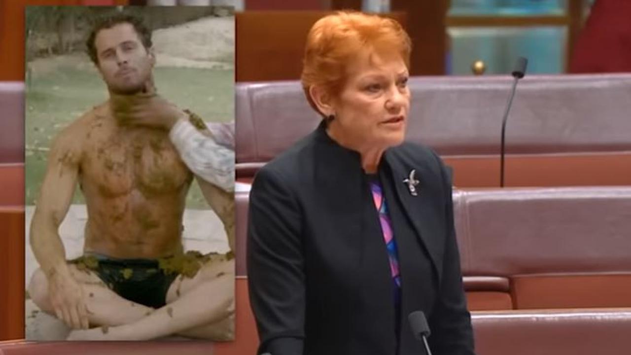 Sandiaga Uno Kritik Senator Australia yang Diduga Sebar Hoaks Soal Sapi di Bali