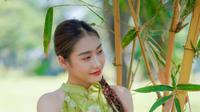 Ilustrasi bambu kuning. (Foto oleh Tuấn Kiệt Jr.: https://www.pexels.com/id-id/foto/wanita-perempuan-kaum-wanita-pohon-20186668/)