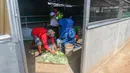 Maggot dijadikan pakan ikan dan unggas oleh warga sekitar karena harganya lebih murah dibanding pakan lainnya, seperti pelet yang saat ini berada dikisaran Rp12 ribuan. (Merdeka.com/Arie Basuki)