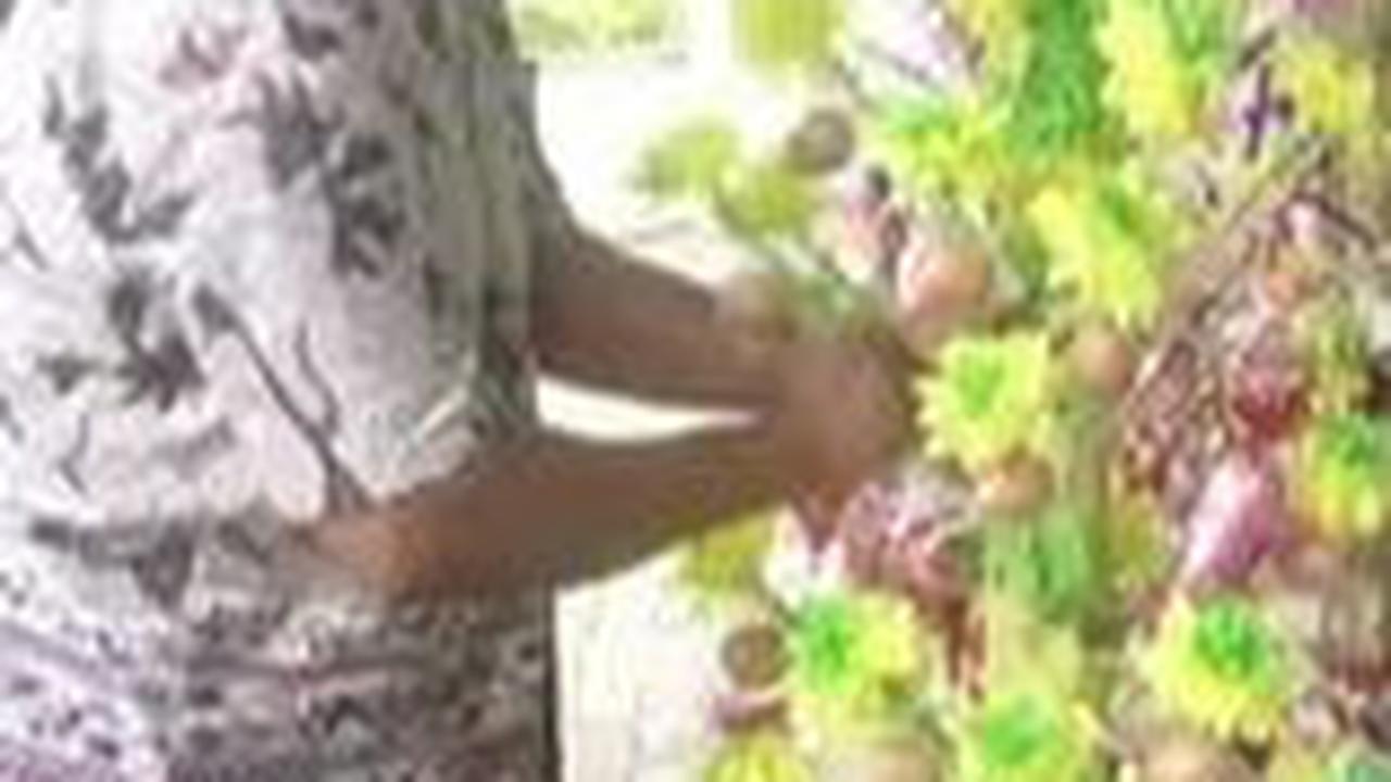 7. Endog-Endogan: Tradisi Arak-arakan Keliling Kota
