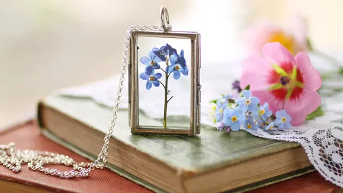 6 Keindahan Terarium dengan Tumbuhan Hidup di Dalamnya