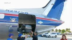 Karena masalah populasi anjing berlebihan, 205 anjing terlantar Puerto Rico diterbangkan ke Amerika Serikat.
