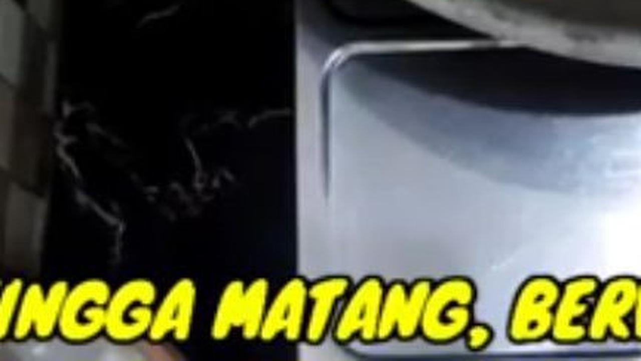 Goreng Ikan Teri