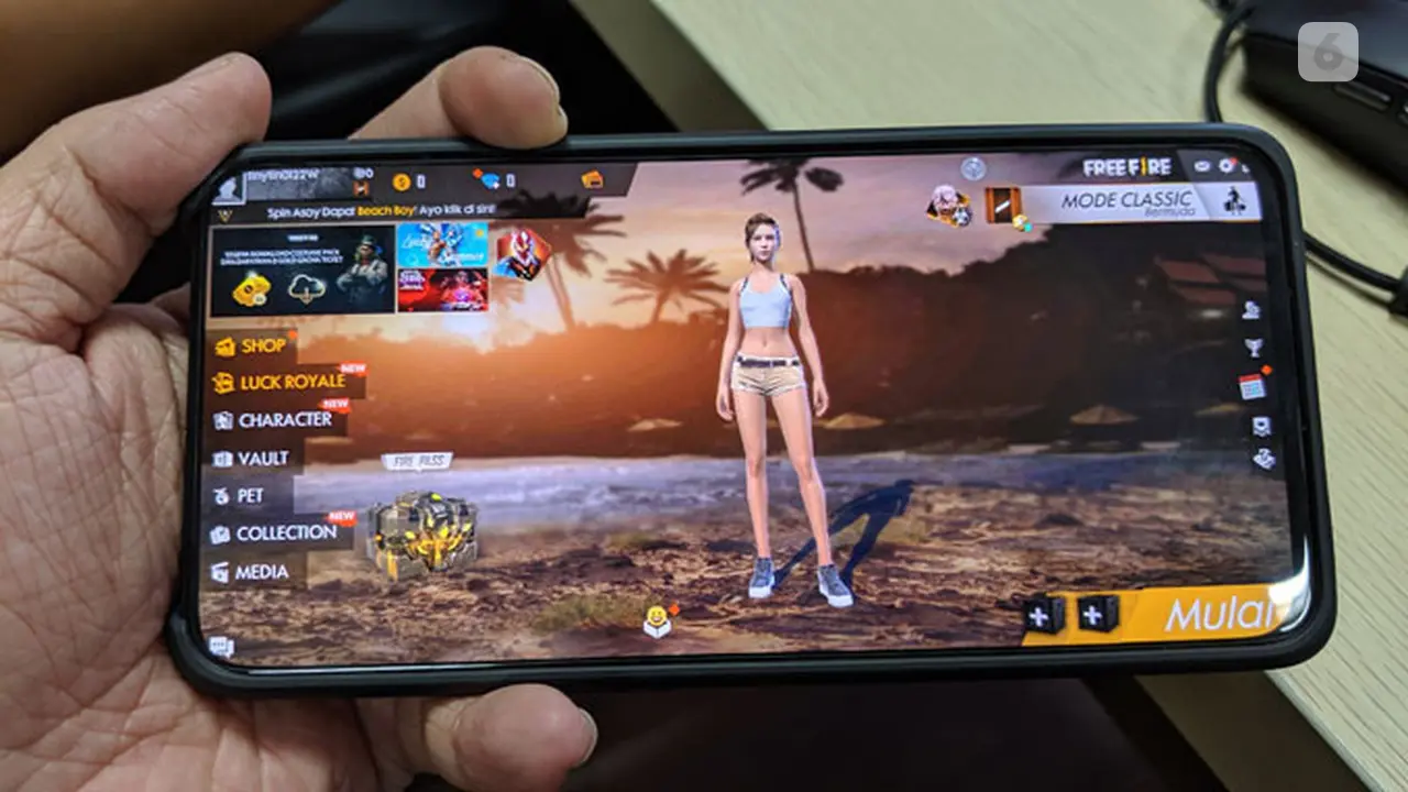 Free Fire