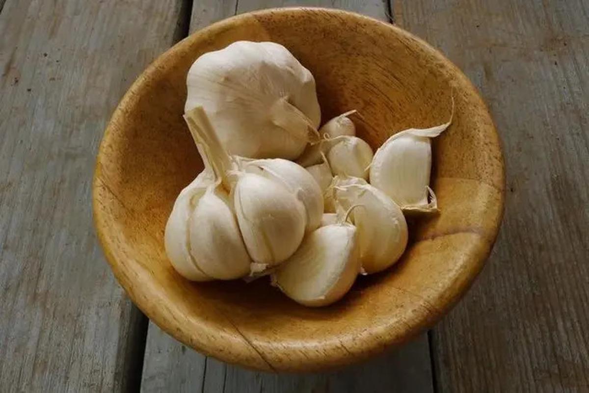 Cara Merebus Bawang Putih untuk Turunkan Kolesterol, Tekanan Darah Tinggi, dan Asam Urat