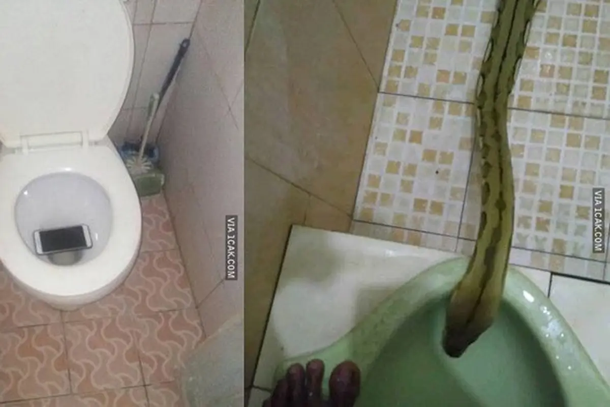 6 Momen Apes saat di Kamar Mandi Ini Bikin Ngelus Dada
