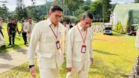 Prabowo Minta Swasembada Pangan 4 Tahun, Apa Strategi Mentan?