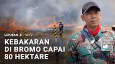 Kebakaran hutan dan lahan yang terjadi di kawasan Gunung Bromo telah mencapai 80 hektare. Upaya pemadaman terkendala embusan angin kencang.