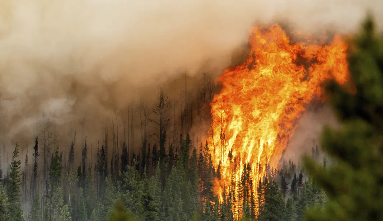 Api dari kebakaran hutan Donnie Creek membakar di sepanjang puncak bukit di utara Fort St John, British Columbia, Minggu, 2 Juli 2023. (AP Photo/Noah Berger)