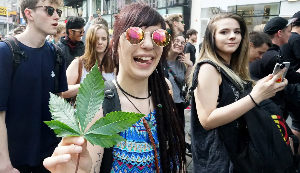 Warga menunjukkan daun ganja saat mengikuti Global Cannabis March di Wina, Austria, (6/5). Global Cannabis March diikuti lebih dari 100 kota di seluruh dunia mendukung legalisasi budidaya ganja untuk tujuan pengobatan dan rekreasi. (AFP Photo/Joe Klamar)