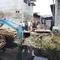 Warga Tegal Alur 2 Tahun Gunakan Jembatan Bambu, DPRD DKI Bertindak