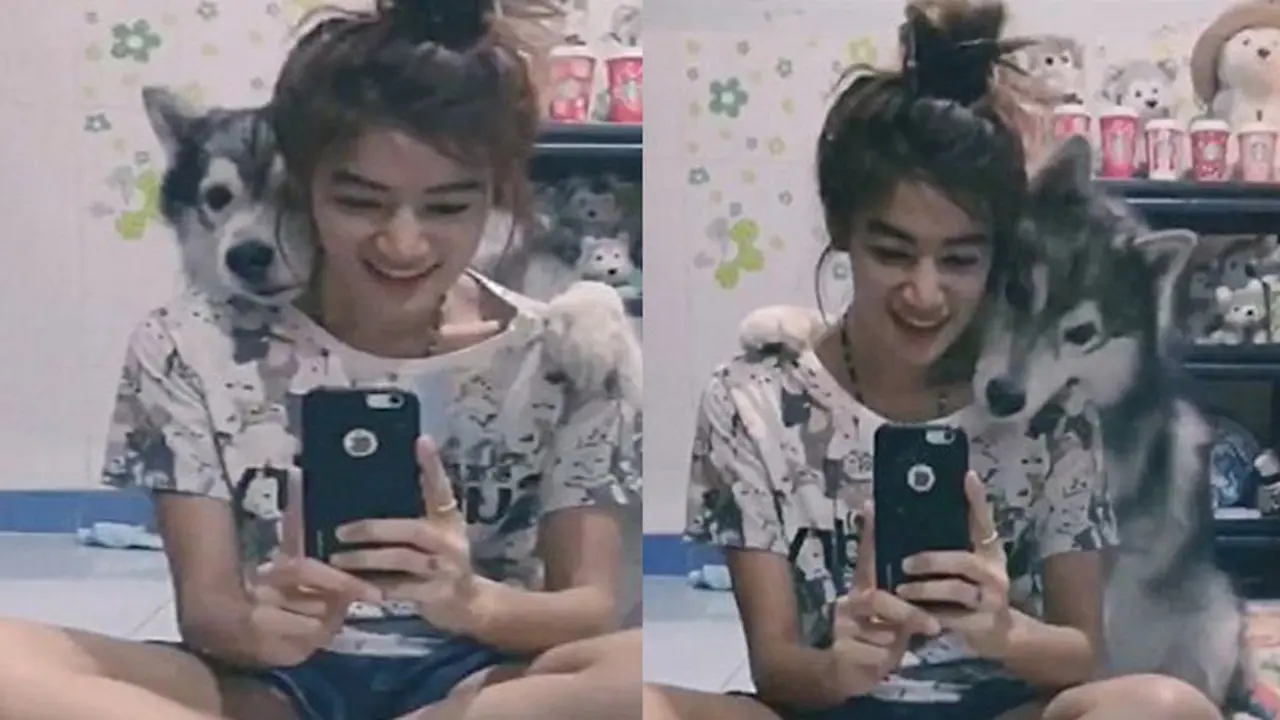 Anjing narsis