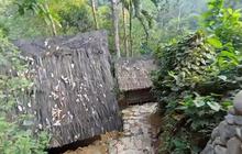 Menilik Suasana Pagi di Kampung Baduy, Pemandangan Jalan Setapak di Hutan Indah Banget
