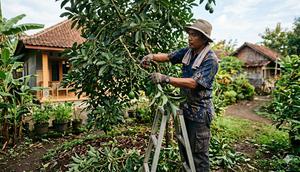 Cara Pemangkasan Alpukat agar Cepat Berbuah (Foto: Gemini AI)