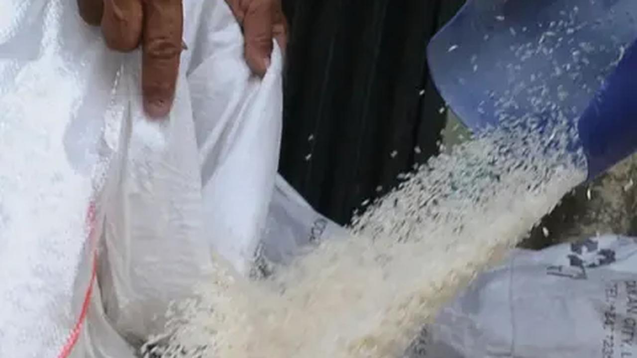 Beras Mahal, Pedagang Warteg Pilih Kurangi Porsi Nasi Ketimbang Naikkan Harga