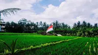 Ilustrasi Bendera Indonesia. (Bola.com/Pixabay)