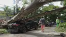 Saat pohon tersebut tumbang, tidak ada orang maupun kendaraan yang melintas. (Liputan6.com/Herman Zakharia)