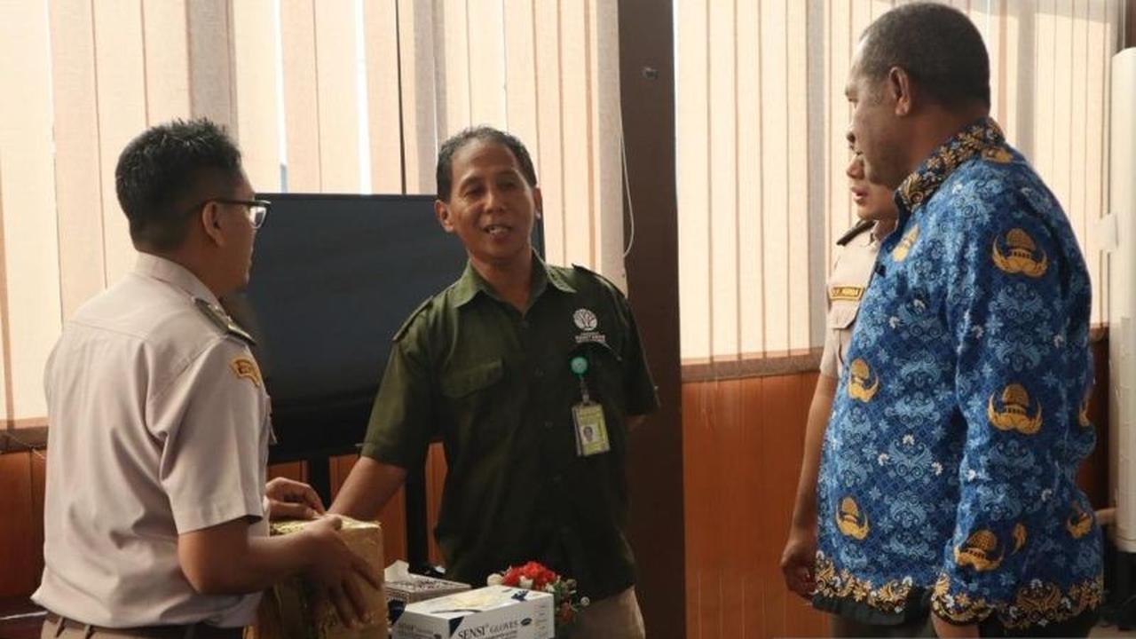 BKHIT Maluku Gagalkan Penyelundupan Satwa Liar di Bandara Pattimura, Amankan 900 Ekor