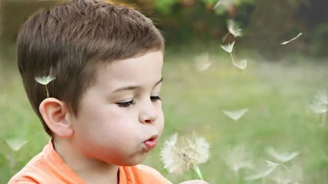 2. Butuh Waktu untuk Mengisi Energi