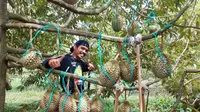 Agus sebagai&nbsp;inspirator petani durian berbagi ilmunya&nbsp;melalui chanel&nbsp;YouTube&nbsp;miliknya.&nbsp;(Liputan6.com/Arief Pramono)