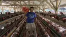 Peternak mengambil telur ayam ras pada sebuah peternakan ayam di kawasan Gunung Sindur, Bogor, Jawa Barat, Kamis  (09/07/2026).