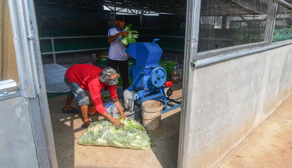 Maggot dijadikan pakan ikan dan unggas oleh warga sekitar karena harganya lebih murah dibanding pakan lainnya, seperti pelet yang saat ini berada dikisaran Rp12 ribuan. (Merdeka.com/Arie Basuki)
