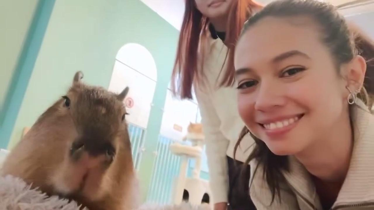7 Potret Keseruan Yuki Kato Bareng Kapibara, Netizen: Jadi Keinget Jennie BLACKPINK